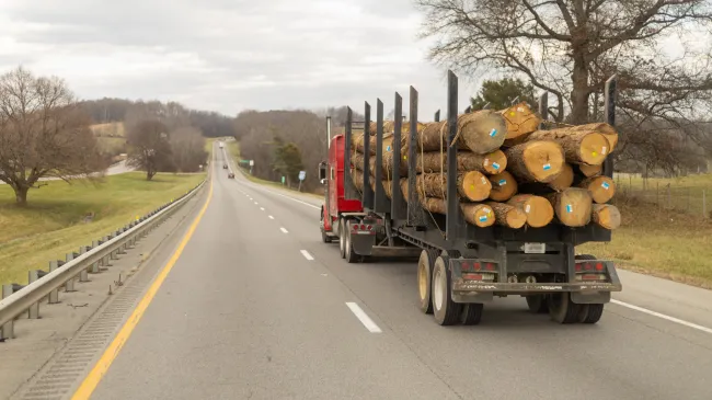 Log roll